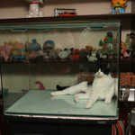 aIMG_9017.jpg