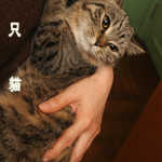 aIMG_9043.jpg