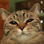dIMG_9034.jpg