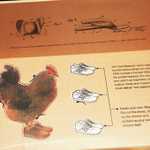 aIMG_9902.jpg