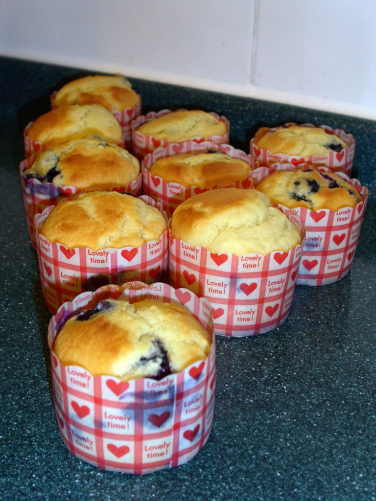 Blueberry Muffin