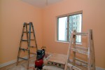 DSCF6164