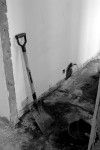 DSCF5931