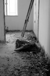DSCF5932