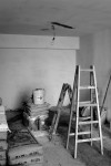 DSCF5951