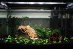 ʭۤG My Aquarium