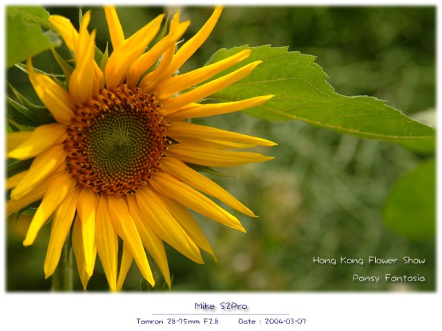 DSCF2064
