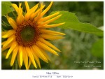 DSCF2064
