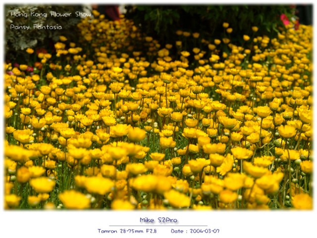 DSCF2143