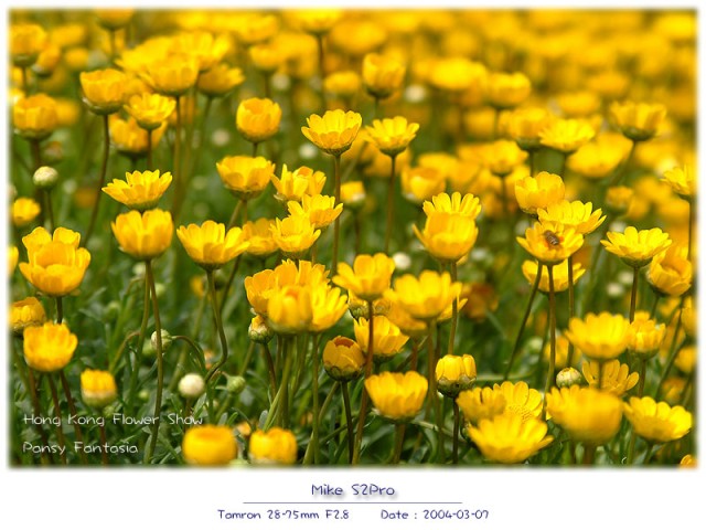 DSCF2165