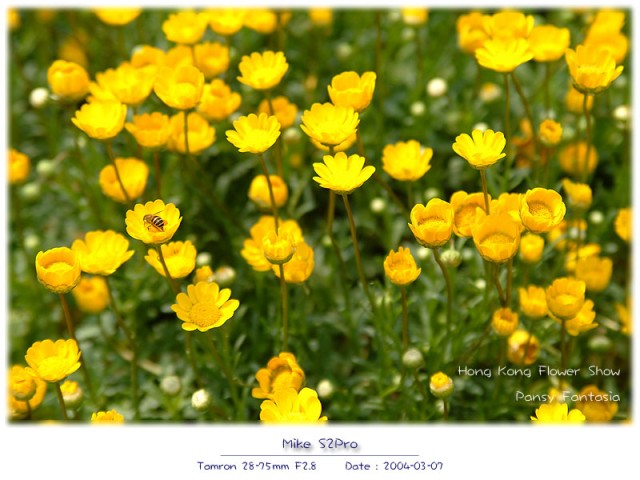 DSCF2167