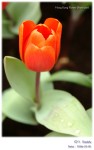 DSCF6892