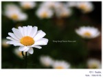 DSCF6936