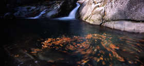 FOTOMAN612 L58MM 5.6