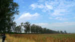 750-P1000737