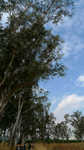 750-P1000739