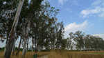 750-P1000742
