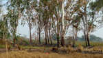 750-P1000785