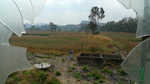 750-P1000816