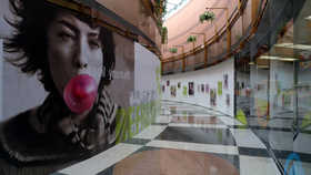 800-P1010955