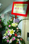 800-P1030170