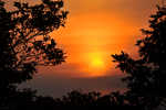 800-DSC 0703