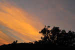 800-DSC 0727
