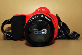 900-DSC 0961