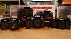 900-P1040240