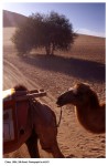 �ʭ��ۤ��G ��F�s