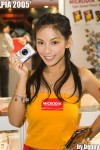 microdia elaine1