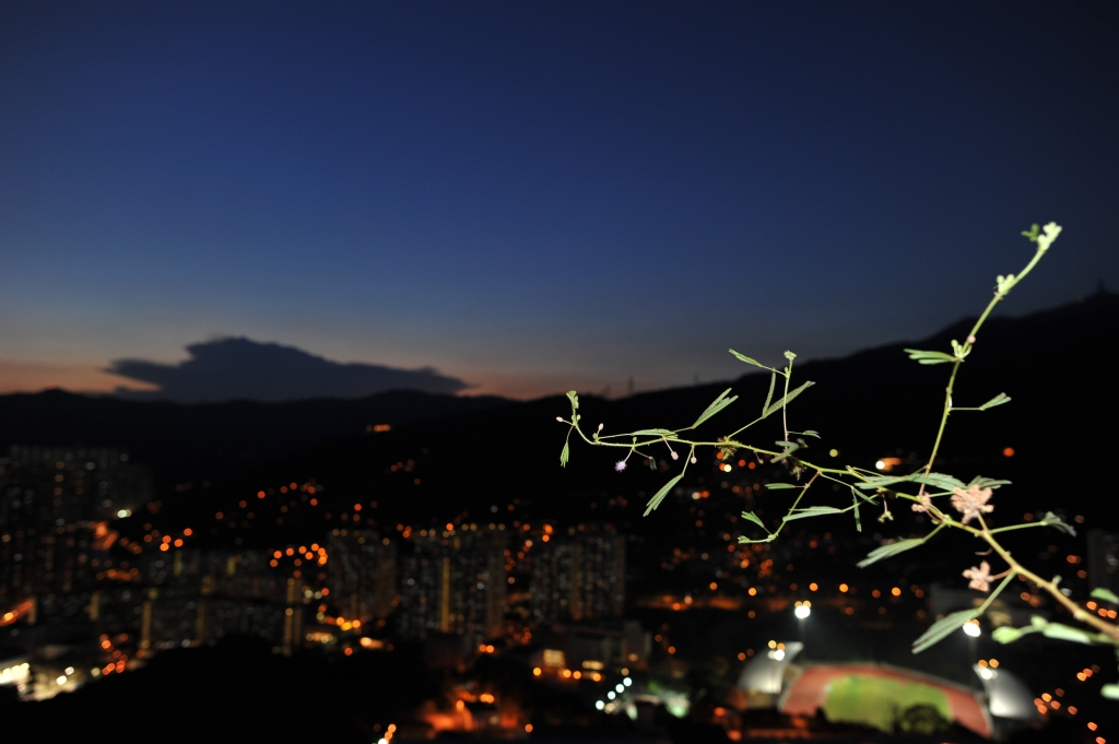 DSC_5041.JPG