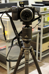 �ʭ��ۤ��G NEX7
