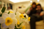 900-DSC00391