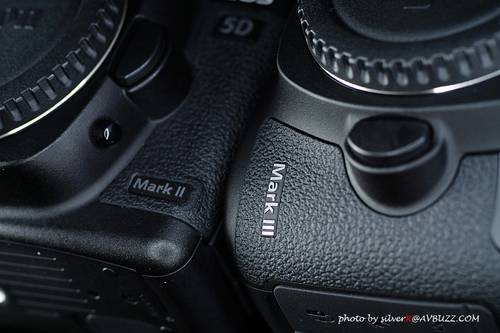 �ʭ��ۤ��G Canon EOS 5D Mark III