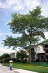 900-DSC05349