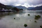 900-DSC05359