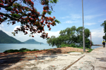 900-DSC05368