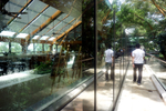 900-DSC05412