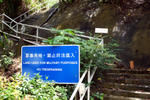 900-DSC05426