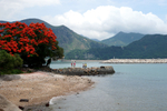 900-DSC05438