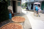 900-DSC05475
