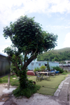 900-DSC05478