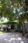 900-DSC05489