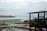 900-DSC05495