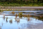 1500-DSC08418