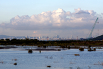 1500-DSC08496