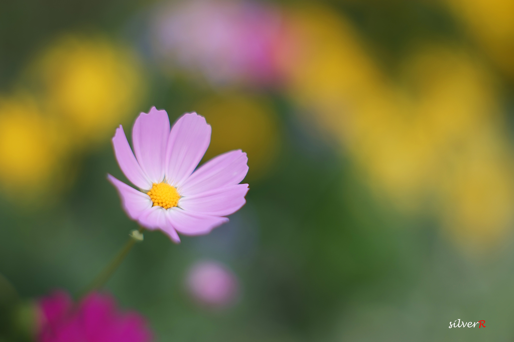 014