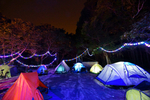 1500-DSC01509