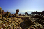 1500-DSC03148